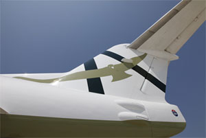 Eagles Airlines Particolare del Fokker 100 di Eagles Airlines