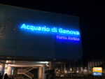 Acquario di Genova orari prezzi come arrivare