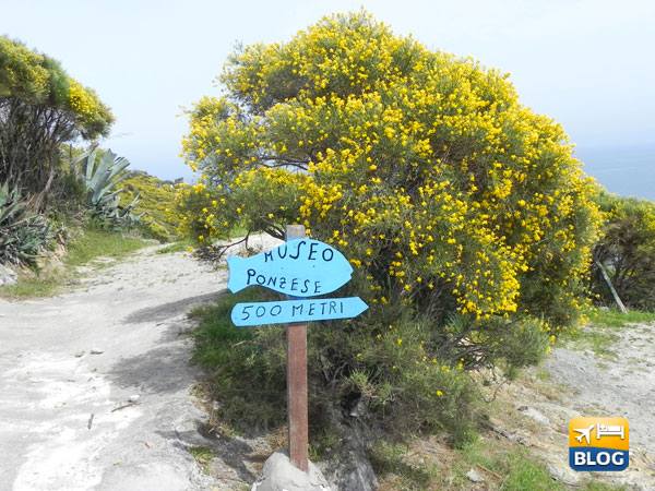 Visitare il museo etnografico di Ponza