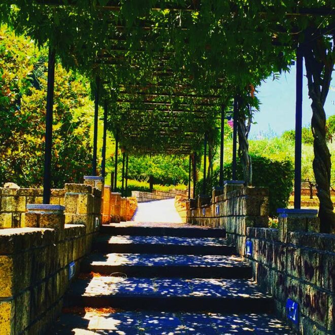 Parco del Poggio a Napoli orari e come arrivare